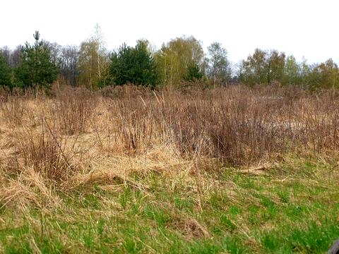 участок по адресу Морозова, 32