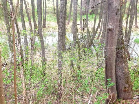 участок по адресу Морозова, 32