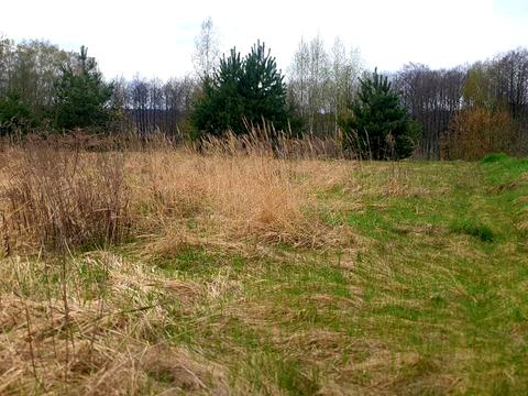 участок по адресу Морозова, 32