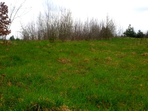 участок по адресу Морозова, 32