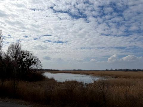 дом по адресу Лісова