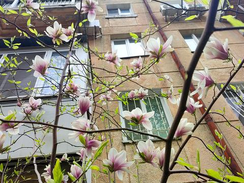 квартира за адресою Фонтанська дорога вул., 15а
