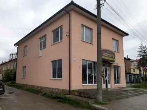 комерційна за адресою Лева Ребета вул., 6б