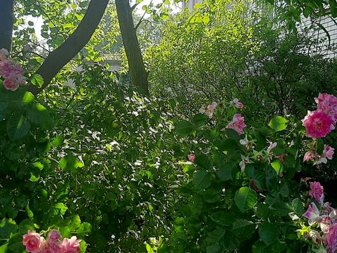 будинок за адресою Новочеркаська вул.