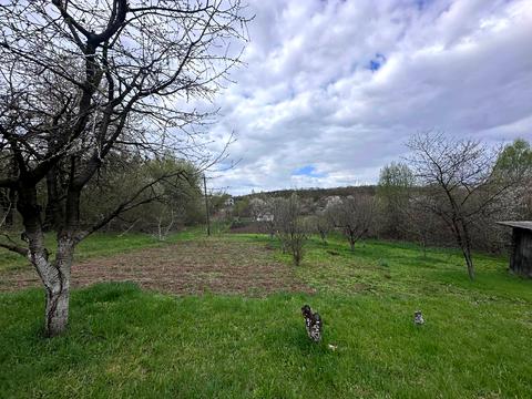 ділянка за адресою Вишнева