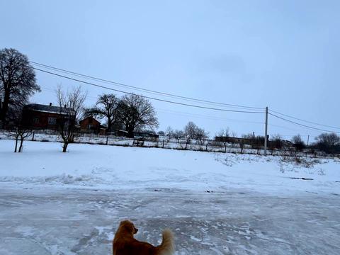 участок по адресу Малодорошівська, 1