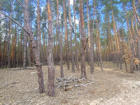 участок по адресу Шервудская ул.
