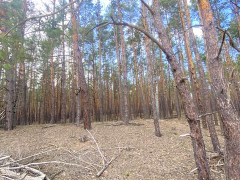 участок по адресу Шервудская ул.