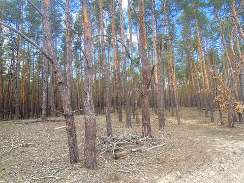 участок по адресу Шервудская ул.
