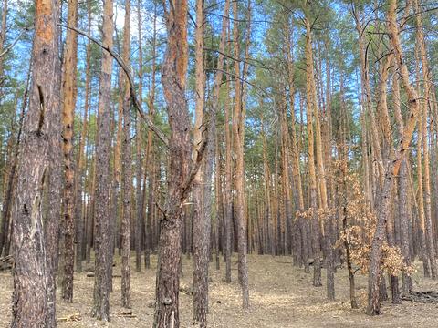 участок по адресу Шервудская ул.