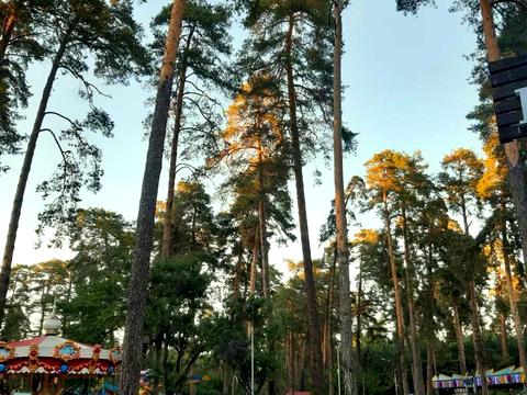 квартира по адресу Вакуленчука ул., 47