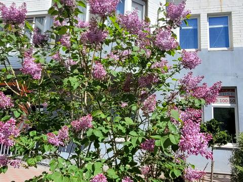 квартира по адресу Миколы Бажана просп., 14