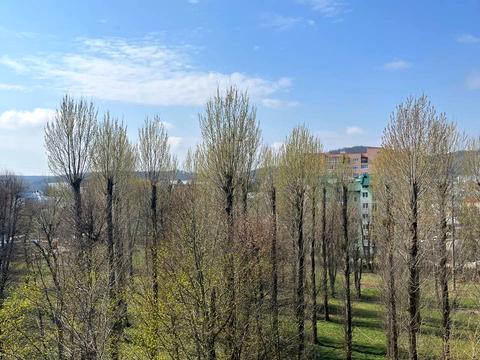 квартира по адресу Парковая ул., 17