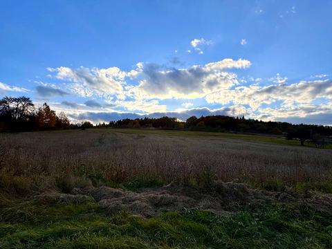 дом по адресу Шевченка