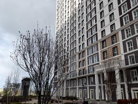 квартира за адресою Михайла Максимовича вул. (Онуфрія Трутенка), (Будинок «Престон»)