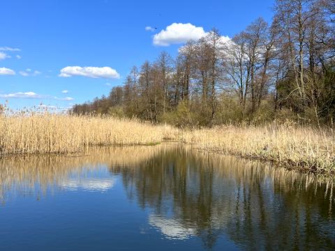 ділянка за адресою Грушевського, 4