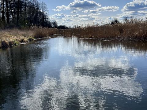 ділянка за адресою Грушевського, 4