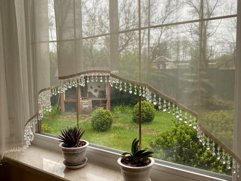 будинок за адресою Найкраща вул. (Ломоносова), 24