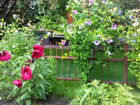 будинок за адресою Найкраща вул. (Ломоносова), 24