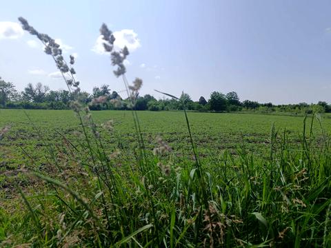 ділянка за адресою Сонячна