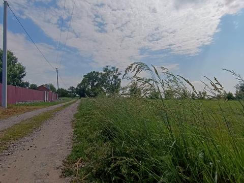 ділянка за адресою Сонячна
