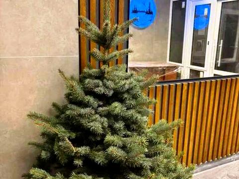 квартира за адресою Бориса Гмирі вул., 22-Б