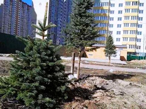 квартира за адресою Бориса Гмирі вул., 22-Б