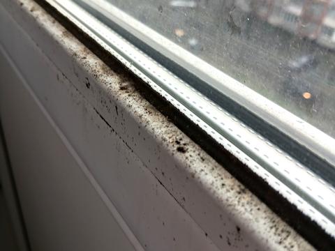 квартира по адресу Левка Лукьяненко ул. (Маршала Тимошенко), 3-А