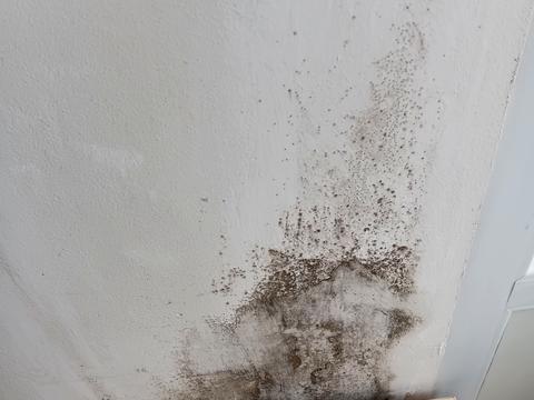 квартира по адресу Левка Лукьяненко ул. (Маршала Тимошенко), 3-А