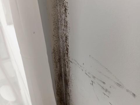 квартира по адресу Левка Лукьяненко ул. (Маршала Тимошенко), 3-А