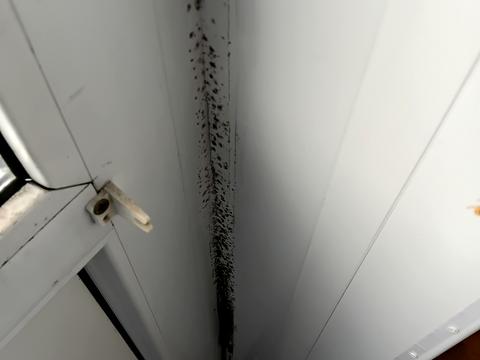 квартира по адресу Левка Лукьяненко ул. (Маршала Тимошенко), 3-А