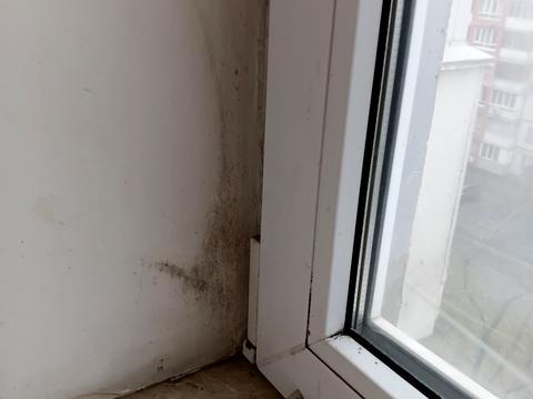 квартира по адресу Левка Лукьяненко ул. (Маршала Тимошенко), 3-А