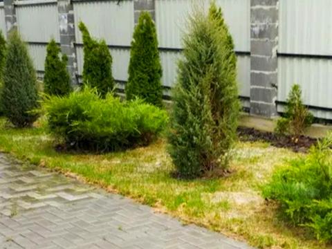 будинок за адресою Академіка Шалімова вул., 46-А