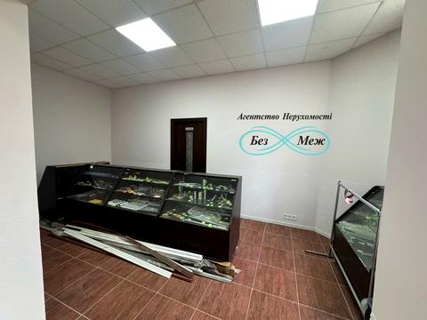 комерційна за адресою с. Софіївська Борщагівка, Боголюбова вул., 18