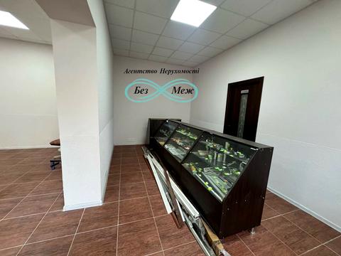 комерційна за адресою с. Софіївська Борщагівка, Боголюбова вул., 18