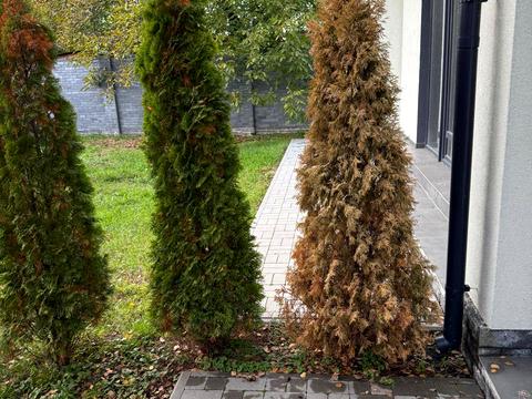 будинок за адресою східно-дальній-5