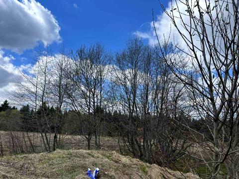 участок по адресу 