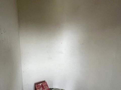 дом по адресу Олени Пчілки ул. (Чайковського)