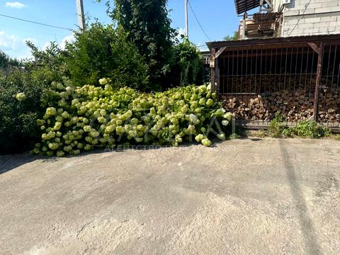 дом по адресу вул. Басейна, 68