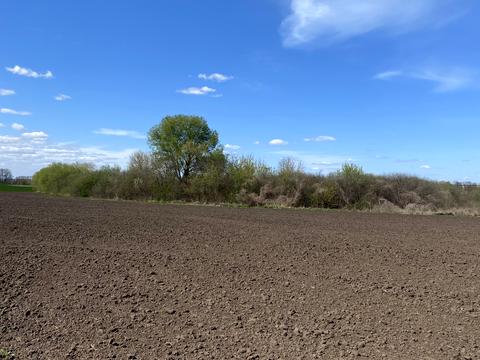ділянка за адресою Сергія Зулінського вул. (Тарногродського)