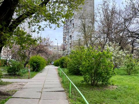 квартира по адресу Пантелеймона Кулиша ул. (Челябинская), 17