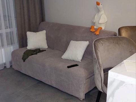 квартира за адресою Київ, Олександра Олеся вул., 10