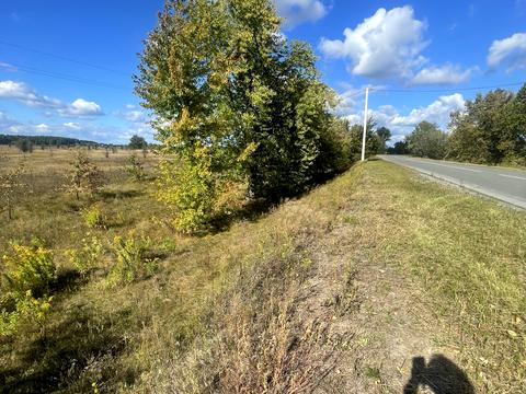 ділянка за адресою Бузкова