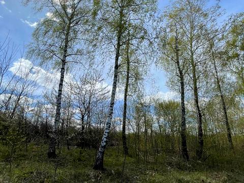 ділянка за адресою Хмільник, 