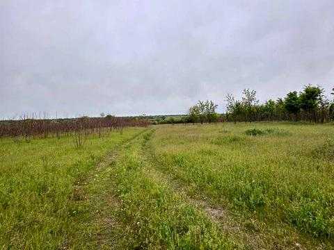 участок по адресу Дарвіна ул.