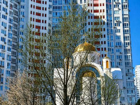 квартира за адресою Єлизавети Чавдар вул., 1