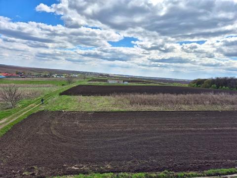 участок по адресу Барвінкова