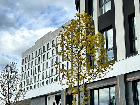 квартира за адресою Петра Дорошенка вул., (А011)