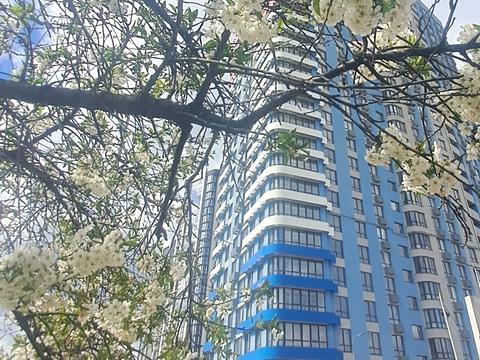 квартира за адресою Дніпровська набережна вул., 17-К