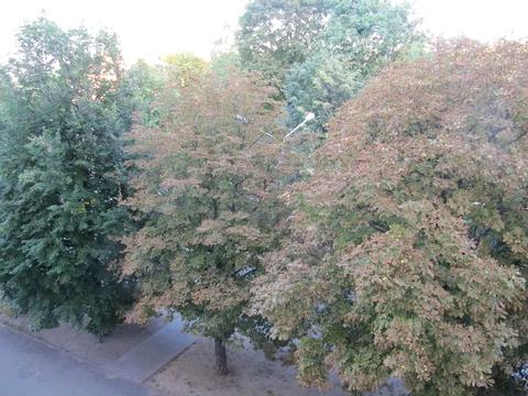 квартира за адресою В'ячеслава Чорновола вул., 2б